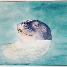 Foca en Acuarela. Traditional illustration project by Pilar Blasco Martínez - 08.15.2021