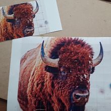 My project in Expressive Animal Portraits in Watercolor course. Traditional illustration, Watercolor Painting, Realistic Drawing, and Naturalistic Illustration project by Sue Higgerson - 08.30.2021