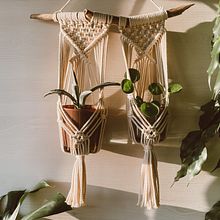 Blumenampeln und Pflanzenhänger  . Macramé proyek oleh Lara Pertschy - 08.30.2021