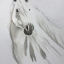 Il mio progetto del corso: Ritratti espressivi di animali ad acquerello. Een project van Traditionele illustratie, Aquarelschilderen, Realistische tekening y Naturalistische illustratie van Cinzia Valtorta - 30.08.2021