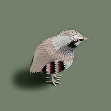 Paper Birds. Paper Craft, Design, and Traditional illustration project by Sarah Louise Matthews - 08.31.2021