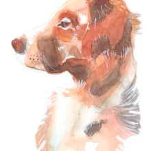 acuarela de Rolo. Un projet de Illustration traditionnelle, Aquarelle , et Peinture de Maria Victoria Comas - 31.08.2021
