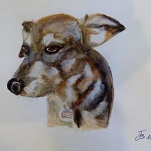 Mi projecto primeros intentos. Een project van Traditionele illustratie,  Beeldende kunst, Aquarelschilderen y Naturalistische illustratie van Jon Bickel - 01.09.2021