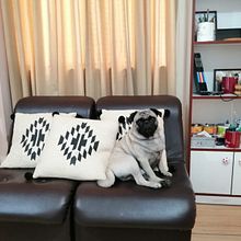 Mi Proyecto del curso: Escritura de cuentos infantiles para principiantes. Een project van Schrijven, Stor, telling, Creativiteit met kinderen y Verhaallijn van DANILO DE LA CRUZ RAMÍREZ - 01.09.2021