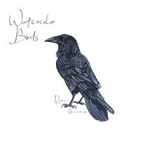 Raven watercolor Birds . Lukisan Cat Air proyek oleh René Blom - 09.02.2021