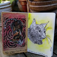 Mon projet : un dessin par jour. Un proyecto de Ilustración tradicional, Bocetado, Creatividad, Dibujo y Sketchbook de Sylvie Belgrand - 03.09.2021