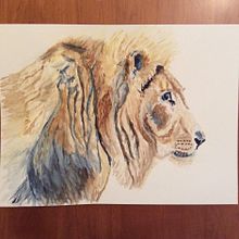 My 2nd project for Expressive Animal Portraits in Watercolor. Fine Arts, and Watercolor Painting project by Carol Gordon - 09.03.2021