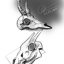My project in Daily Sketching for Creative Inspiration course. Traditional illustration, Sketching, Creativit, Drawing, and Sketchbook project by Quang Le - 09.03.2021