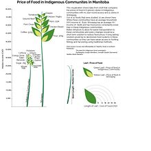 Cost of Food in Indigenous Communities . Projekt z dziedziny Projektowanie informacji, Projektowanie interakt, wne i Infografika użytkownika aditixjain - 03.09.2021