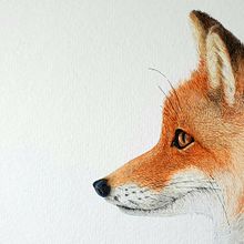 My project in Expressive Animal Portraits in Watercolor course. Un proyecto de Ilustración tradicional, Pintura a la acuarela, Dibujo realista e Ilustración naturalista				 de svenjalouwho - 03.09.2021