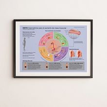 Infografías. Een project van  Ontwerp,  Infographics, Traditionele illustratie, Fotografie,  Reclame, Educatie y Redactioneel ontwerp van Fernando Sarmiento - 03.09.2021