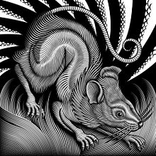 Year of the Rat illustration. Traditional illustration, and Vector Illustration project by Matt Curtis - 03.27.2020