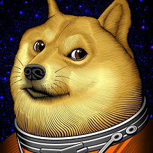 Mat Beast "Doge Coin" rash guard illustration. Traditional illustration, and Vector Illustration project by Matt Curtis - 07.28.2021