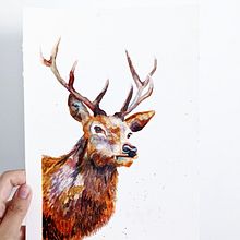 My Project: The Stag. Traditional illustration, Watercolor Painting, Realistic Drawing, and Naturalistic Illustration project by sandralenore - 08.21.2021