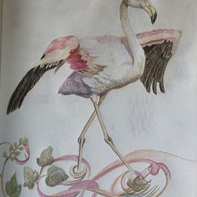 Mon projet du cours : Illustration surréaliste inspirée par la nature. Projekt z dziedziny Trad, c, jna ilustracja, R, sunek ołówkiem,  R, sunek,  R, sunek art, st, czn, Ilustracja naturalist i czna użytkownika fabiennebegonia - 04.09.2021