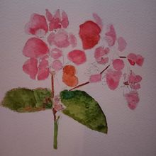 Flora and Fauna by Cliona Ryan. Traditional illustration project by Cliona Ryan - 09.05.2021