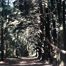 Principalmente soy fotografa, y aquí unas de mis fotos favoritas. Een project van Fotografie van Elisa Muñoz - 05.09.2021