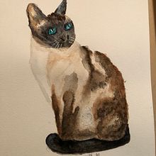 4 color cat. Watercolor Painting project by Mary Lou Fisher - 09.05.2021