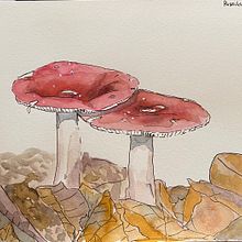 Selected Botanical Sketches. Traditional illustration, Sketching, Drawing, Watercolor Painting, Botanical Illustration, and Sketchbook project by tessa t - 09.06.2021