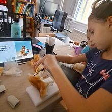 Mi Proyecto del curso: Creación de animales con needle felting Con @elgentio. Arts, Crafts, To, Design, and Fiber Arts project by Tomás Santana - 08.01.2021