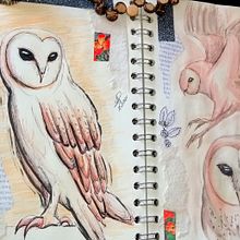 Barn Owl Sketch - Watercolor, color pencils & ink.. Traditional illustration, Collage, Sketchbook, and Naturalistic Illustration project by Mariana Schaar - 09.06.2021