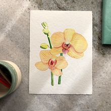 Mi Proyecto del curso: Acuarela botánica: ilustra la anatomía de las flores. Ilustração tradicional, Artes plásticas, Pintura, Desenho, Pintura em aquarela e Ilustração botânica projeto de Antonela Rabbione - 07.09.2021