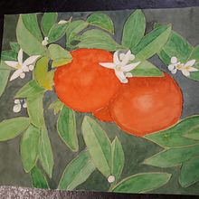 My project in Negative Watercolor Painting for Botanical Illustration course. Traditional illustration, Watercolor Painting, and Botanical Illustration project by jutta_atkinson - 09.07.2021