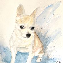 My project in Expressive Animal Portraits in Watercolor course. Projekt z dziedziny Trad, c, jna ilustracja, Malowanie akwarelą, R, sunek realist, czn, Ilustracja naturalist i czna użytkownika vacker8 - 30.01.2022