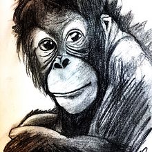 Animals in black . Ilustrasi tradisional, Menggambar, Gambar Pensil, Dan Gambar Realistis proyek oleh Silvia Roukens - 09.08.2021
