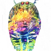 Aquatic life . Ilustrasi tradisional, Menggambar, Gambar Pensil & Ilustrasi Naturalistik proyek oleh Silvia Roukens - 09.08.2021
