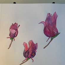 Mi Proyecto del curso: Sketchbook botánico: una aproximación meditativa Ein Projekt aus dem Bereich Traditionelle Illustration, Skizzenentwurf, Zeichnung, Aquarellmalerei, Botanische Illustration und Sketchbook von enriquechernandez71 - 09.09.2021