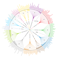 Moscow Metro. Projekt z dziedziny Projektowanie informacji użytkownika balmy - 09.09.2021