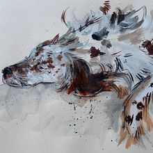 Mi Proyecto del curso: Naturaleza ilustrada: una exploración creativa. Projekt z dziedziny Trad, c, jna ilustracja,  Malarstwo,  R, sunek, Malowanie akwarelą,  R, sunek atramentem, Ilustracja naturalist i czna użytkownika Inma González - 09.09.2021