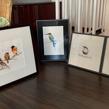 Watercolor Birds . Lukisan proyek oleh Jessica Schwanzara - 09.09.2021