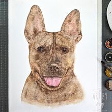 Watercolor Pet Portraits of my boy Ein Projekt aus dem Bereich Zeichnung, Traditionelle Illustration, Malerei und Naturalistische Illustration von Waiyi Choi - 09.09.2021