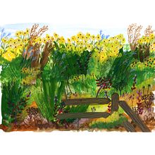My project in Exploratory Sketchbook: Find Your Drawing Style course. Traditional illustration, Sketching, Creativit, Drawing, Watercolor Painting, Sketchbook, and Gouache Painting project by Sydney Musselman - 09.06.2021