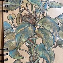 Mon projet du cours : Carnet de croquis botanique : une approche méditative. Een project van Traditionele illustratie,  Schetsen,  Tekening, Aquarelschilderen,  Botanische illustratie y Sketchbook van Véka - 10.09.2021