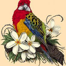 My project in Naturalist Illustration with Ballpoint Pen  course. Traditional illustration, Drawing, Realistic Drawing, and Naturalistic Illustration project by jamieroberts96 - 09.10.2021