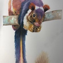 Indian Giant Squirrel. Watercolor Painting, Traditional illustration, Realistic Drawing, and Naturalistic Illustration project by Cayte Pryor - 09.11.2021