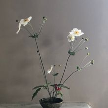 My project in Floral Arrangement Design with Seasonal Blooms course. Interior Design, L, scape Architecture, Decoration, and DIY project by Louise Clark - 09.09.2021
