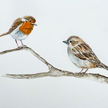My project in Artistic Watercolor Techniques for Illustrating Birds course. Traditional illustration, Watercolor Painting, Realistic Drawing, and Naturalistic Illustration project by Daniëlle Rozeboom - 08.06.2021