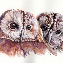 My project in Artistic Watercolor Techniques for Illustrating Birds course. Projekt z dziedziny Trad, c, jna ilustracja, Malowanie akwarelą, R, sunek realist, czn, Ilustracja naturalist, czna i  Sztuki piękne użytkownika Lorna Garrison - 11.09.2021