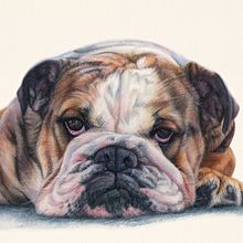 Mon projet du cours : Portraits expressifs d'animaux à l'aquarelle. Ilustração tradicional, Pintura em aquarela, Desenho realista e Ilustração naturalista projeto de Martine Savart - 12.09.2021