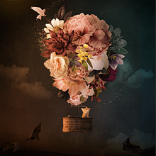 My project in Magical Photomontage in Photoshop: Creating Visual Metaphors course . % franca_munoz tarafından hazırlanan Fotoğraf Post Prodüksi, on, Fotoğraf Rötuşlama, Dijital Fotoğrafçılık, Fotoğrafik Kompozis, on, Ve Fotomontaj projesi - 09.11.2021