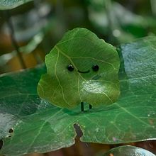 CUTE NATURE OCTANE RENDER by Oscar creativo. Un progetto di Illustrazione tradizionale, Design, Pubblicità, Motion graphics, 3D, Progettazione 3D, Character design 3D e Modellazione 3D di Oscar Creativo - 12.09.2021