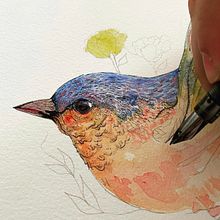 Magic Bird Ein Projekt aus dem Bereich Traditionelle Illustration von Acácio Santos Rio - 15.01.2021