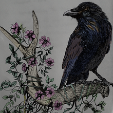 My project in Naturalist Illustration with Ballpoint Pen  course. Traditional illustration, Drawing, Realistic Drawing, and Naturalistic Illustration project by Sue Higgerson - 09.13.2021