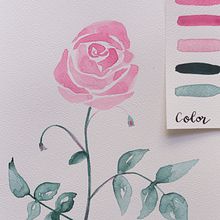 Aquarelles florales. Un proyecto de Ilustración tradicional, Bellas Artes, Pintura, Dibujo, Pintura a la acuarela, Ilustración botánica y Fotografía de Mathilde Troussard - 14.09.2021