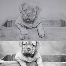 Porträts nach Fotos . % Annette Koenig tarafından hazırlanan Geleneksel illüstras, on, Tablo, Yaratıcılık, Portre Çizimi, Ve Gerçekçi Çizim projesi - 09.14.2021