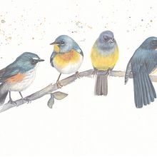 My project in Artistic Watercolor Techniques for Illustrating Birds course. Traditional illustration, Watercolor Painting, Realistic Drawing, and Naturalistic Illustration project by Viktoria Zhulego - 09.14.2021